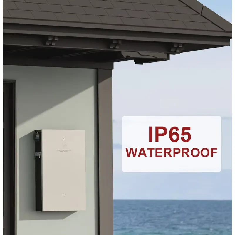 10Kwh IP65 200ah Solar Battery - Home Backup Battery 10Kwh Lifepo4 review and price