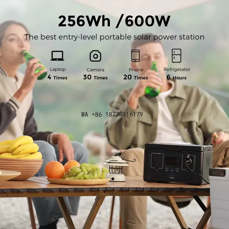 wmwmnu   Lifepo4 300w UPS Trag - Portable Power Station 600W Ups review and price